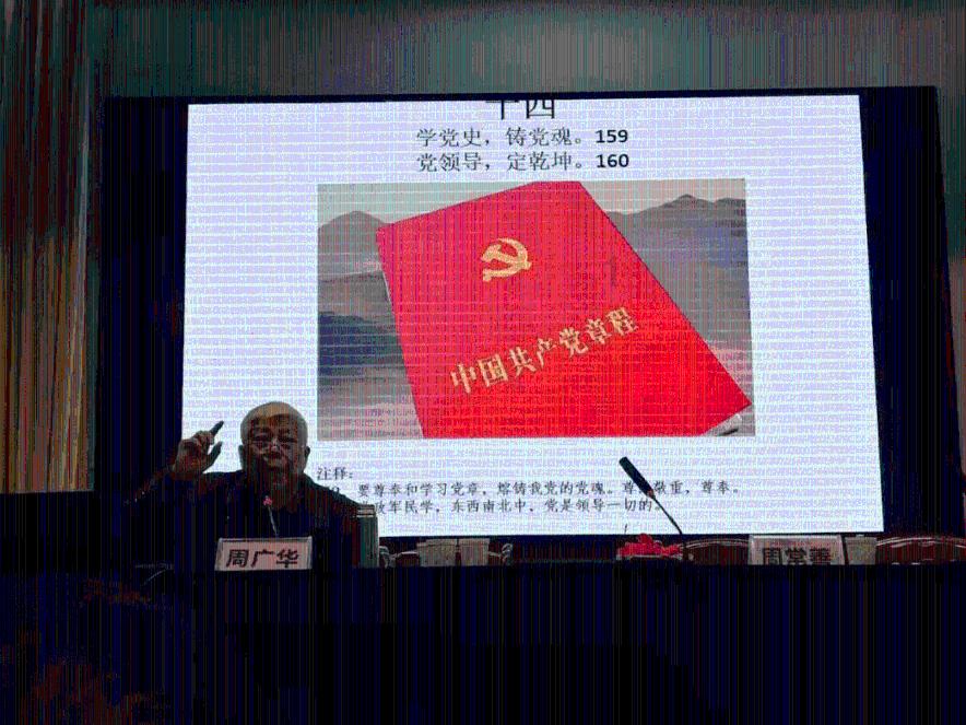 可爱的小考拉