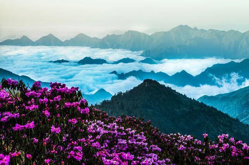 笑脸球的冒险之旅